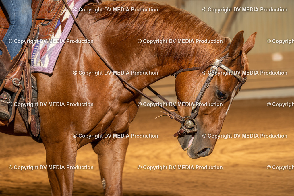 NID01834 | dv-media-shop - Realisiert mit Pictrs.com