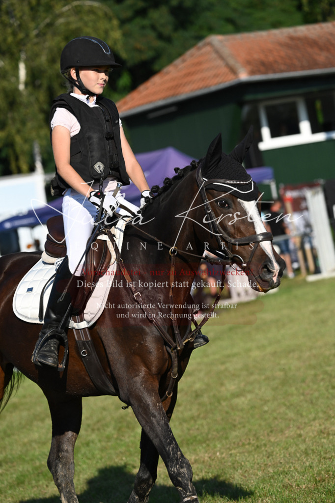 DSC_4674 | Pferde- und Turnierfotografie in Westsachsen. Pferdeportraits, Auftragszeichnungen und intuitive Kunst.