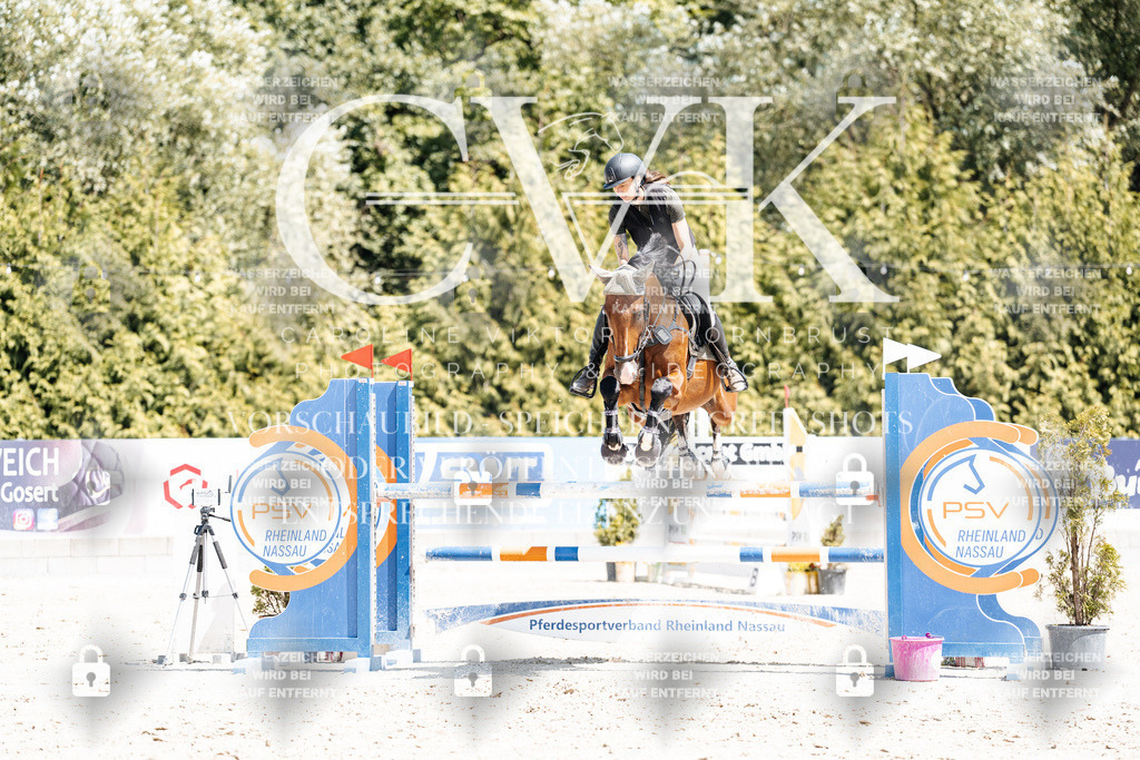 CK900321 | Turnierfotografie Pferdefotografie Trier Rheinland-Pfalz Pferdesport Reitsport Tierfotografie Sportfotografie Pferdevideo Pferdevideografie Equestrianvideography equestrianphotography  - Realisiert mit Pictrs.com