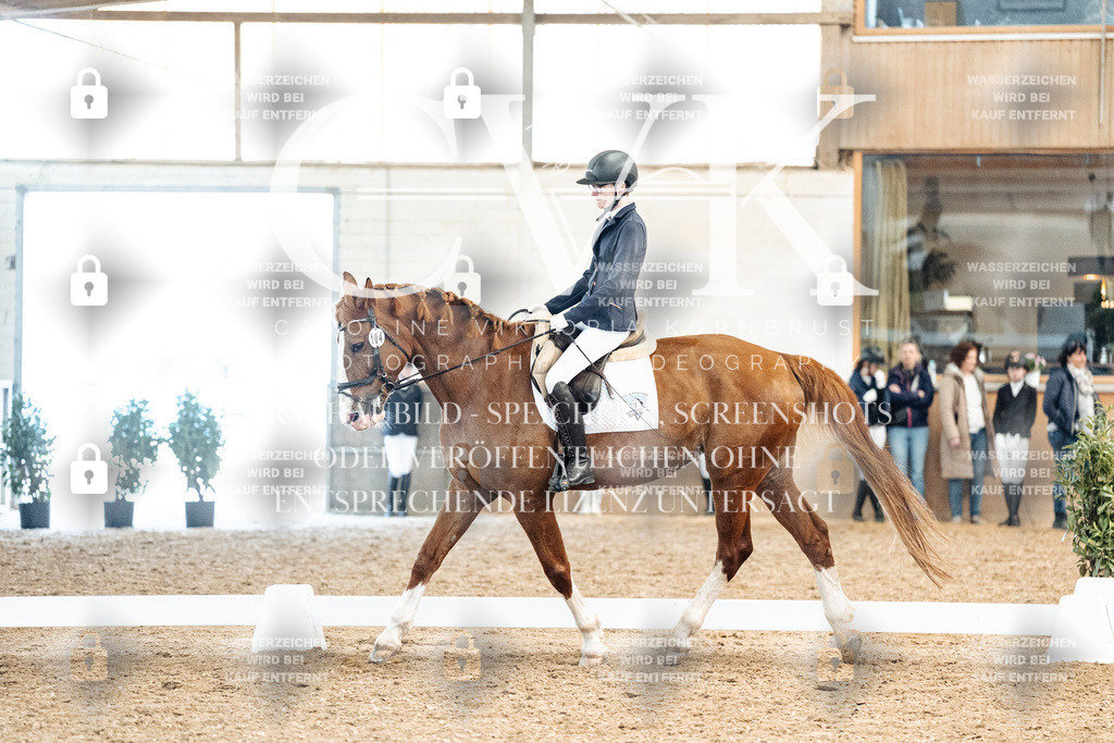 CK909952 | Turnierfotografie Pferdefotografie Trier Rheinland-Pfalz Pferdesport Reitsport Tierfotografie Sportfotografie Pferdevideo Pferdevideografie Equestrianvideography equestrianphotography  - Realized with Pictrs.com