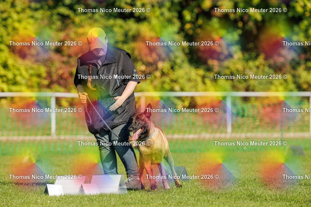 Thomas_Nico_Meuter(C)_04. Oktober 2026_223A1455 | Bild von Thomas Nico Meuter - Realisiert mit Pictrs.com
