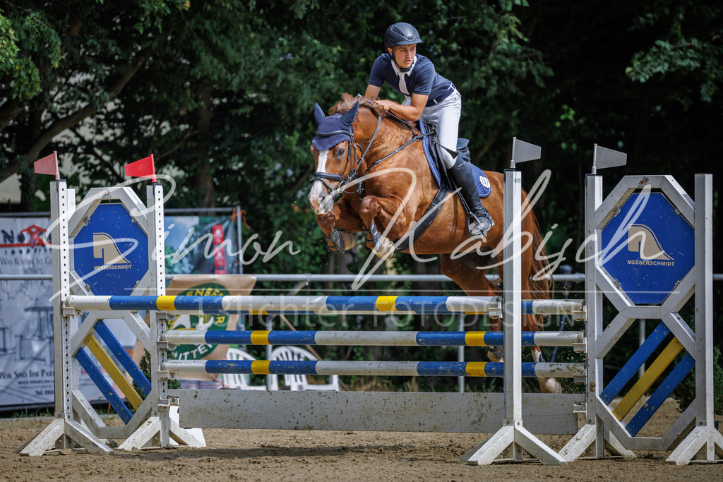 20260705-_3LI6633 | Tierfotografie Pferde, Hunde, Katzen, Haustiere.
Turnierfotografie Reitturniere, Reiten, Springreiten, Dressur in Hanau, dem Main-Kinzig-Kreis und dem Rhein-Main- Gebiet um Frankfurt