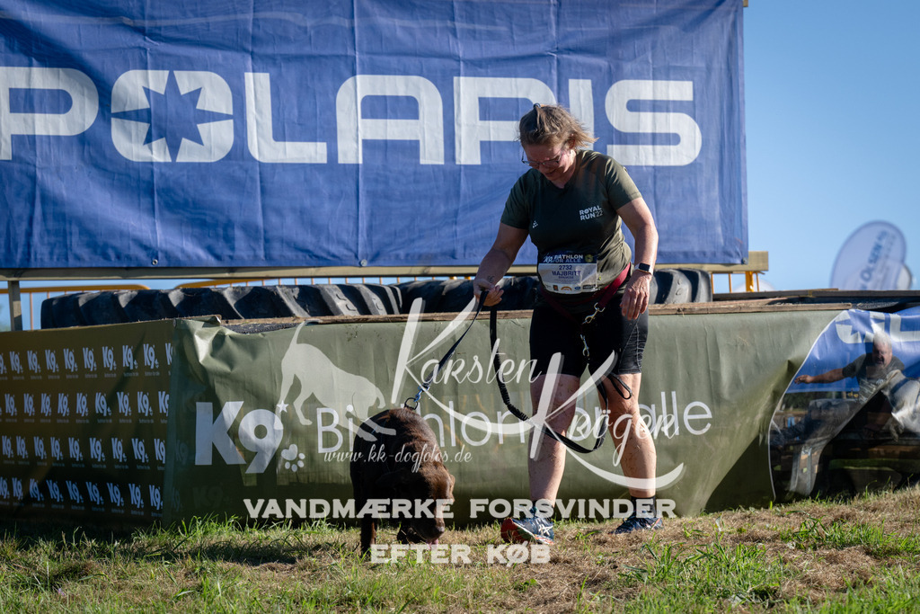 0856_ZZ95248 | kk-dogfotos