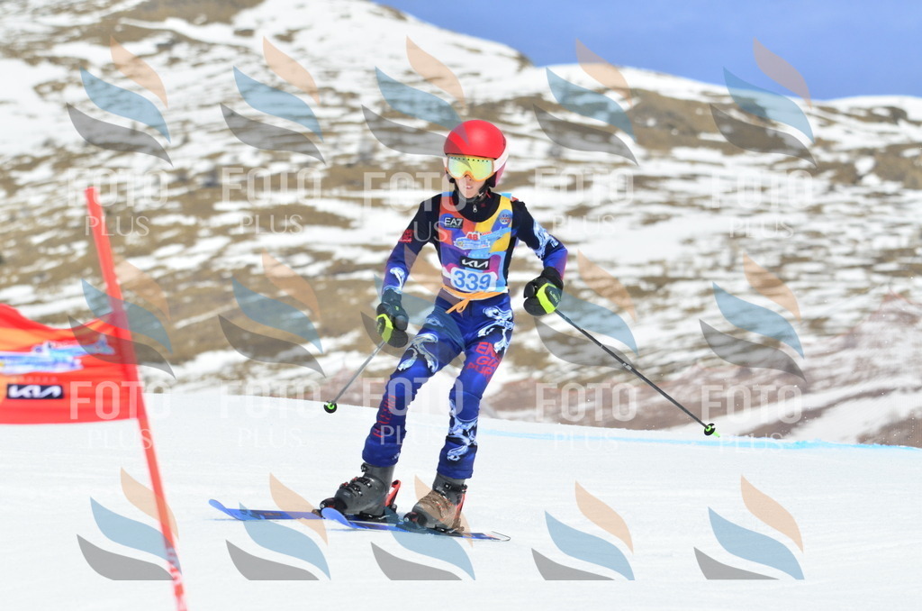 _ELE2528 | holidayphoto