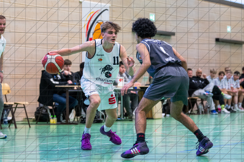 JBBL 24/25 | 02.02.2025 | Charisma Young Bulls vs. Bramfelder SV  | JBBL 24/25 | 02.02.2025 | Charisma Young Bulls vs. Bramfelder SV - - - - - CREDIT, www.bullenfotos.de, Martin König, Hörner Weg 40, D-49078 Osnabrück, +4917663732967, Nutzung und Weitergabe nur zu den vereinbarten Zwecken. Presseanfragen an Urheber. Alle Rechte beim Urheber. - - - - - - Realisiert mit Pictrs.com