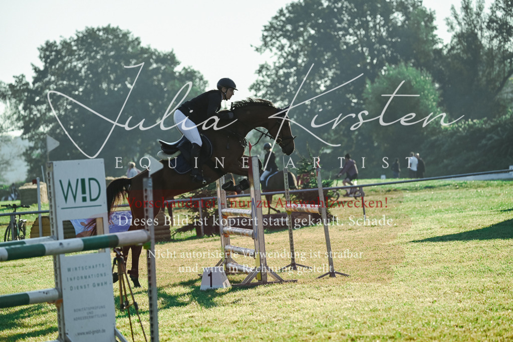 DSC_3888 | Pferde- und Turnierfotografie in Westsachsen. Pferdeportraits, Auftragszeichnungen und intuitive Kunst.