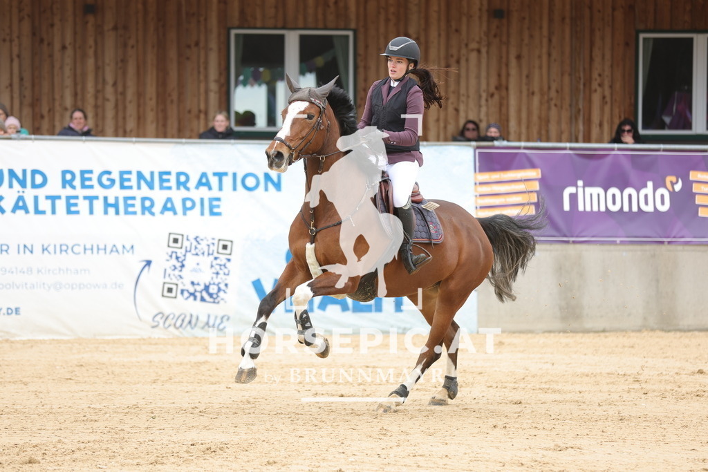 0P6A2891 | Willkommen bei Brunnmayr - Design & Fotografie – Ihrem Spezialisten für Reitturniere und Pferdeveranstaltungen in Oberösterreich, Salzburg und Bayern! Seit über 17 Jahren sind wir leidenschaftlich dabei.