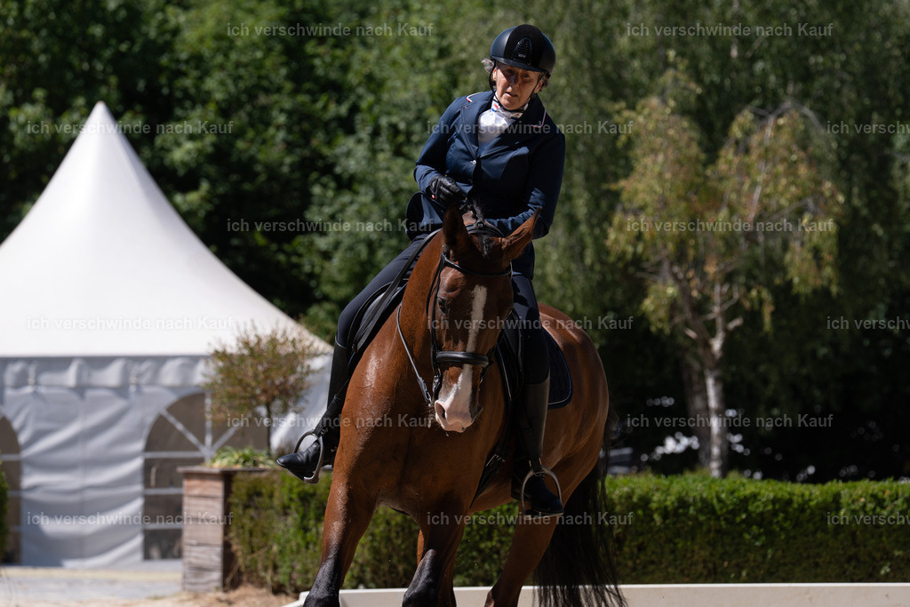WS_DR_59_sinafilmart_IN02910 | working equitationturnier fotograf videograf stoibphotography marixx film working equitation deutschland reitsport turnierfotografie eventfotografie equestrian events