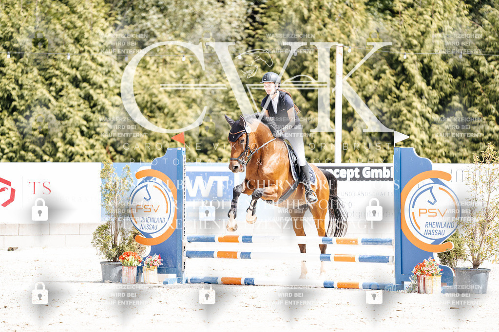 CK906605 | Turnierfotografie Pferdefotografie Trier Rheinland-Pfalz Pferdesport Reitsport Tierfotografie Sportfotografie Pferdevideo Pferdevideografie Equestrianvideography equestrianphotography  - Realisiert mit Pictrs.com
