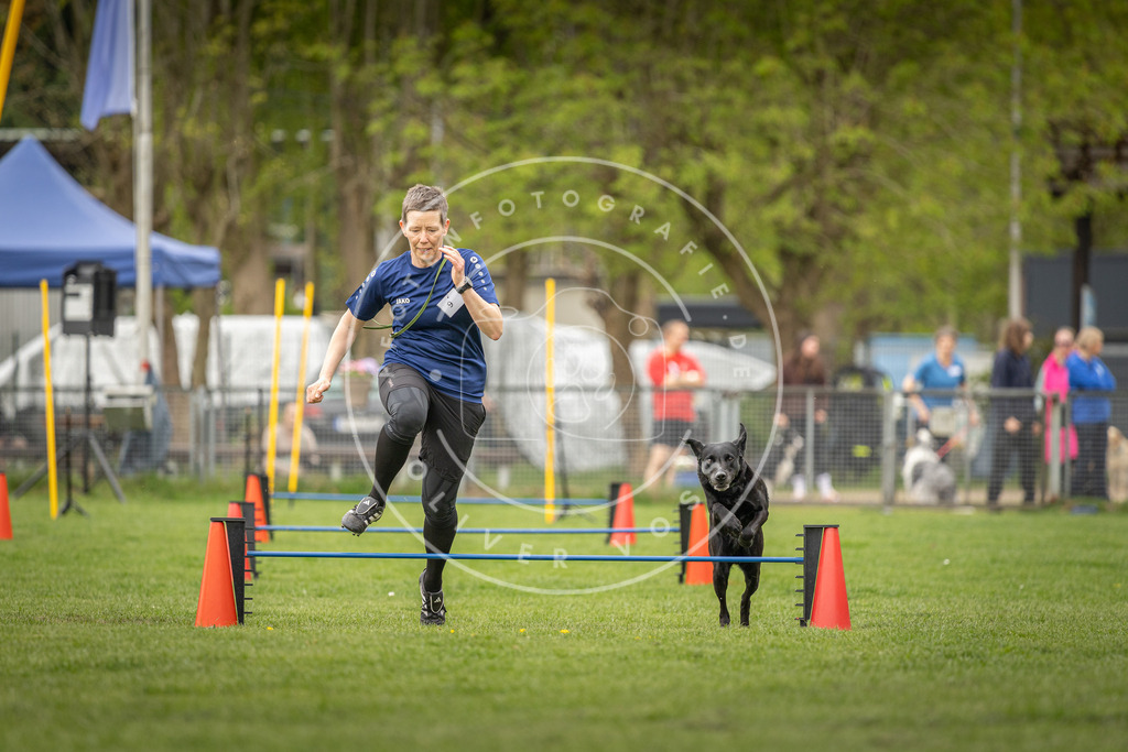Pfotenfotografie_DV3A8524 | Hundefotografie, Tierfotograf, Pfotenfotografie, Fotoshooting Hund, Hunde Portrait, Hundesport, Hundeportraits, Heideshooting, Hunde, Sportfotograf, Hundefotograf, Turnierhundsport, THS,  - Realisiert mit Pictrs.com