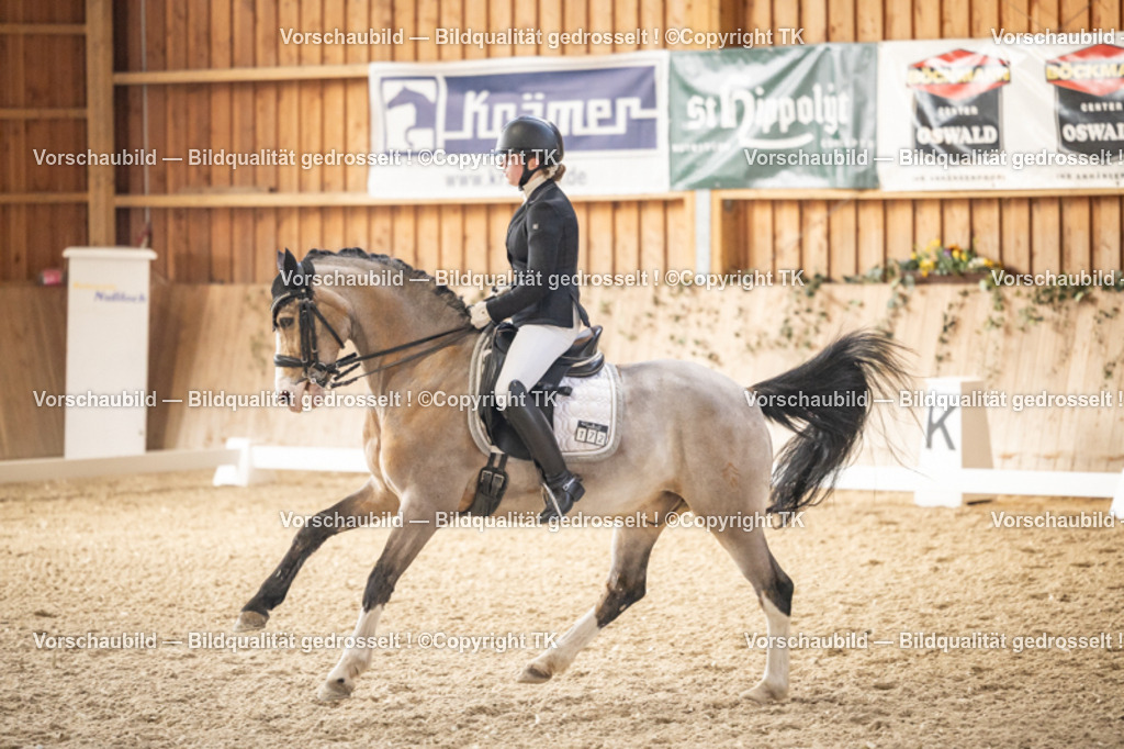 _D5A9110 | Emotionale Pferde- & People-Fotografie rund um Heidelberg, Leimen & Umgebung. Natürliche Fotos von Pferd, Mensch & Familie. Jetzt Termin sichern!