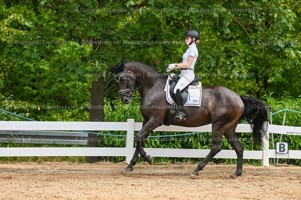 20230715_05_Dressurprüfung Kl.A++_0326 | equistock