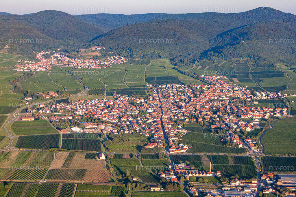 Luftbild: Weinbergen in Maikammer im Bundesland Rheinland-Pfalz in Deutschland. Foto: IMG_44348.jpg vom 20.08.2011 durch Werner Riehm/FLY-FOTO.de