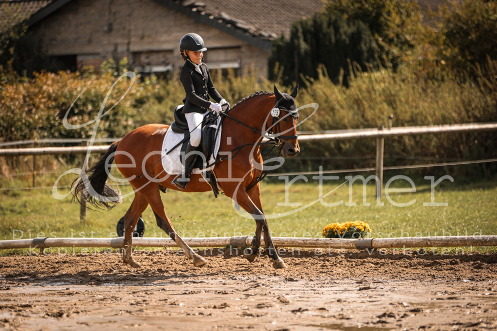 02.SoDrWB00201 | Leoni Ertmer Photography - Realisiert mit Pictrs.com