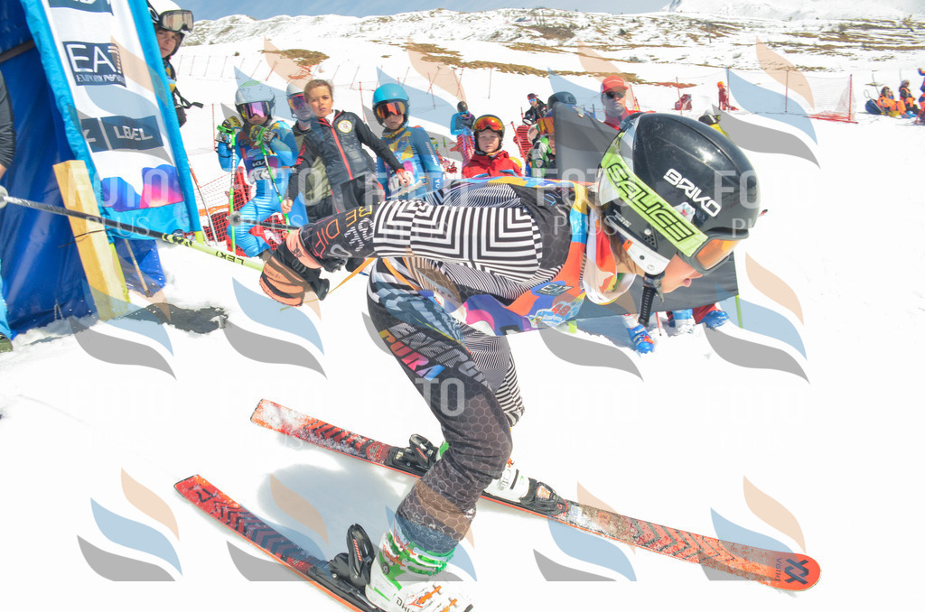 _ELE6390 | holidayphoto