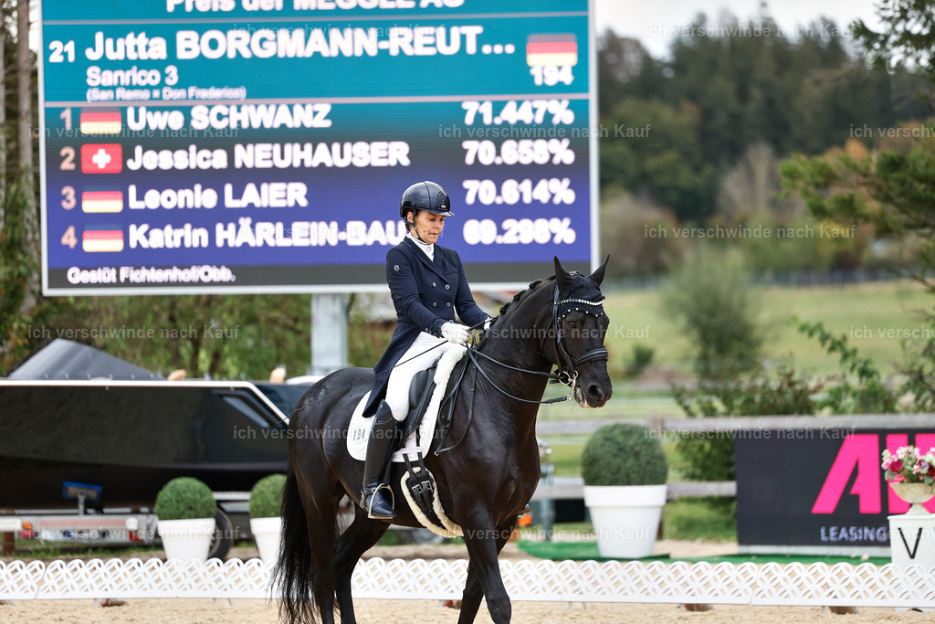 11-194-Dressur S___-StoibPH-1450 | working equitationturnier fotograf videograf stoibphotography marixx film working equitation deutschland reitsport turnierfotografie eventfotografie equestrian events