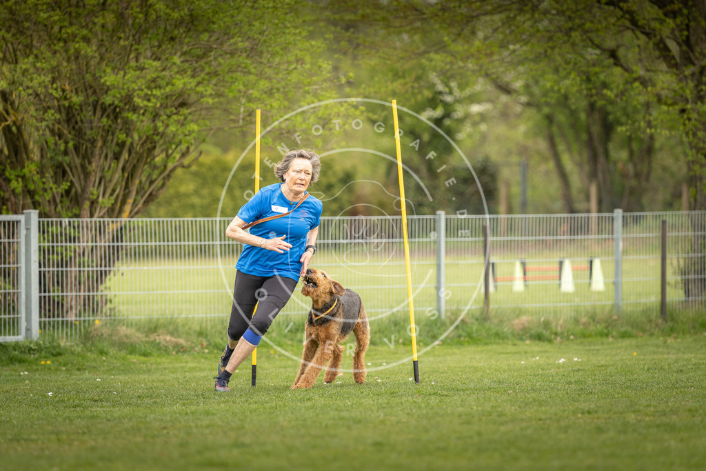 Pfotenfotografie_DV3A7524 | Hundefotografie, Tierfotograf, Pfotenfotografie, Fotoshooting Hund, Hunde Portrait, Hundesport, Hundeportraits, Heideshooting, Hunde, Sportfotograf, Hundefotograf, Turnierhundsport, THS,  - Realisiert mit Pictrs.com