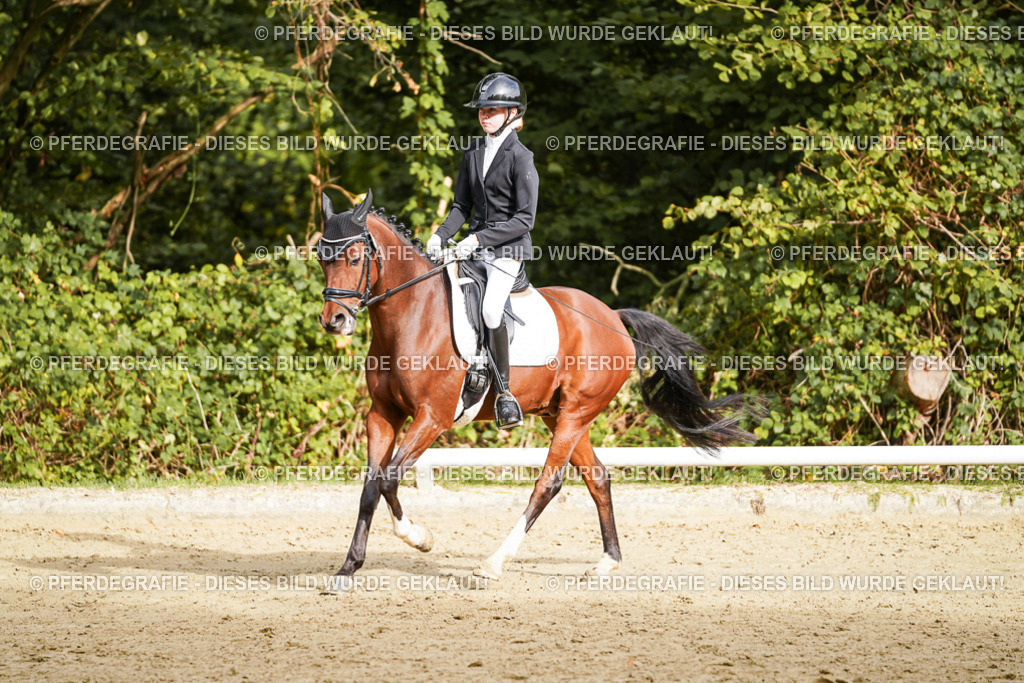 DSC09626 | Pferdegrafie