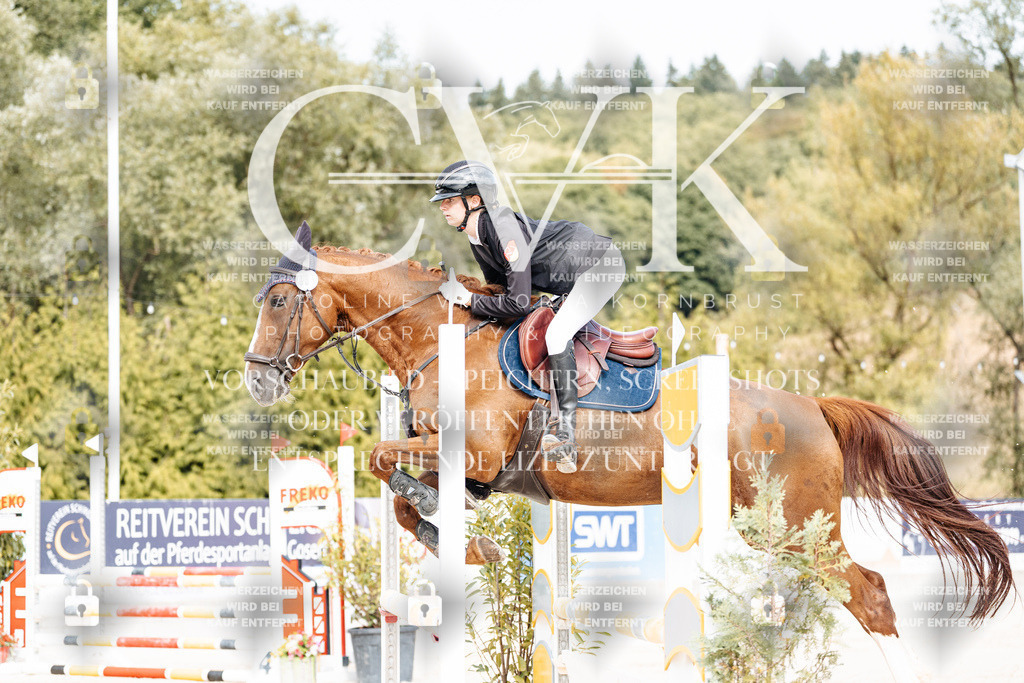 CK908872 | Turnierfotografie Pferdefotografie Trier Rheinland-Pfalz Pferdesport Reitsport Tierfotografie Sportfotografie Pferdevideo Pferdevideografie Equestrianvideography equestrianphotography  - Realisiert mit Pictrs.com