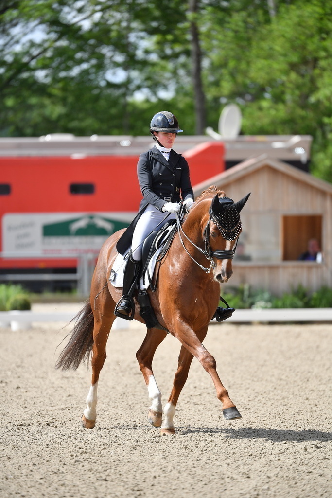 Plinke_25_122 | Der professionelle Turnierfotograf ✓ Reitsport Bilder ▷ Shop ✚ günstig & schnell ✚ mit Zugang für Redakteure