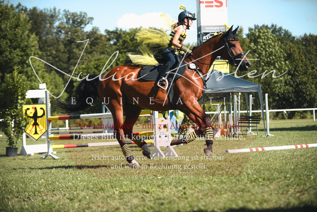 DSC_7492 | Pferde- und Turnierfotografie in Westsachsen. Pferdeportraits, Auftragszeichnungen und intuitive Kunst.