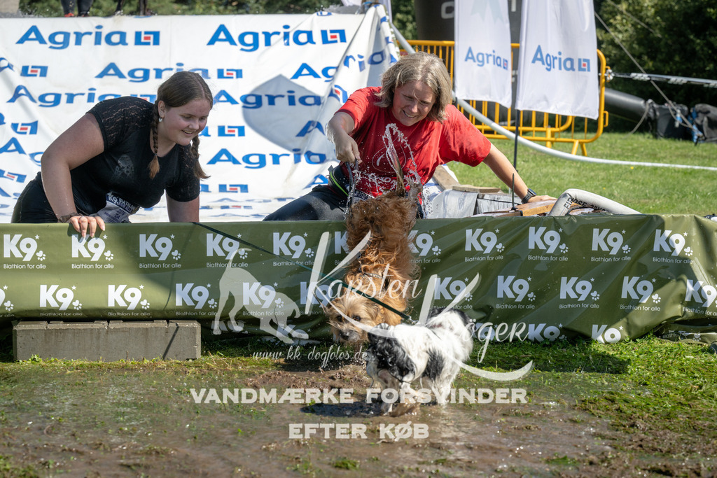 1215_ZZ95614 | kk-dogfotos