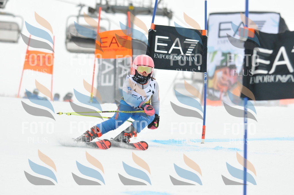 DSC_8144 | holidayphoto