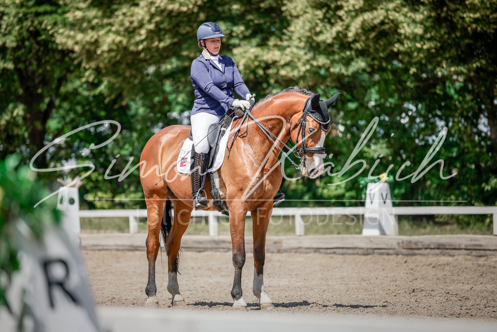 20250621-_3LI8592 | Tierfotografie Pferde, Hunde, Katzen, Haustiere.
Turnierfotografie Reitturniere, Reiten, Springreiten, Dressur in Hanau, dem Main-Kinzig-Kreis und dem Rhein-Main- Gebiet um Frankfurt