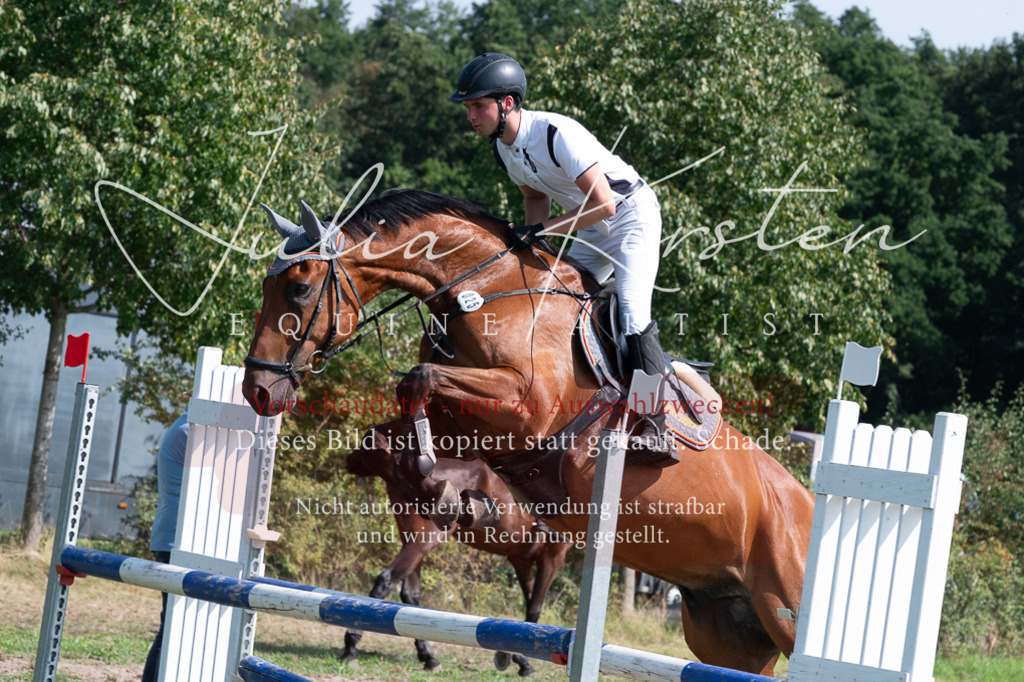 DSC_0877 | Pferde- und Turnierfotografie in Westsachsen. Pferdeportraits, Auftragszeichnungen und intuitive Kunst.