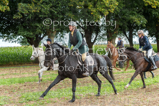 Jagd Perdoel_MarinaHewigMCH04956 | Fotografie, FotoArt, PferdesportArt, Pferdesportfotografie, Landschaftsfotografie, Reisefotografie, Reise, Pferde - Realisiert mit Pictrs.com