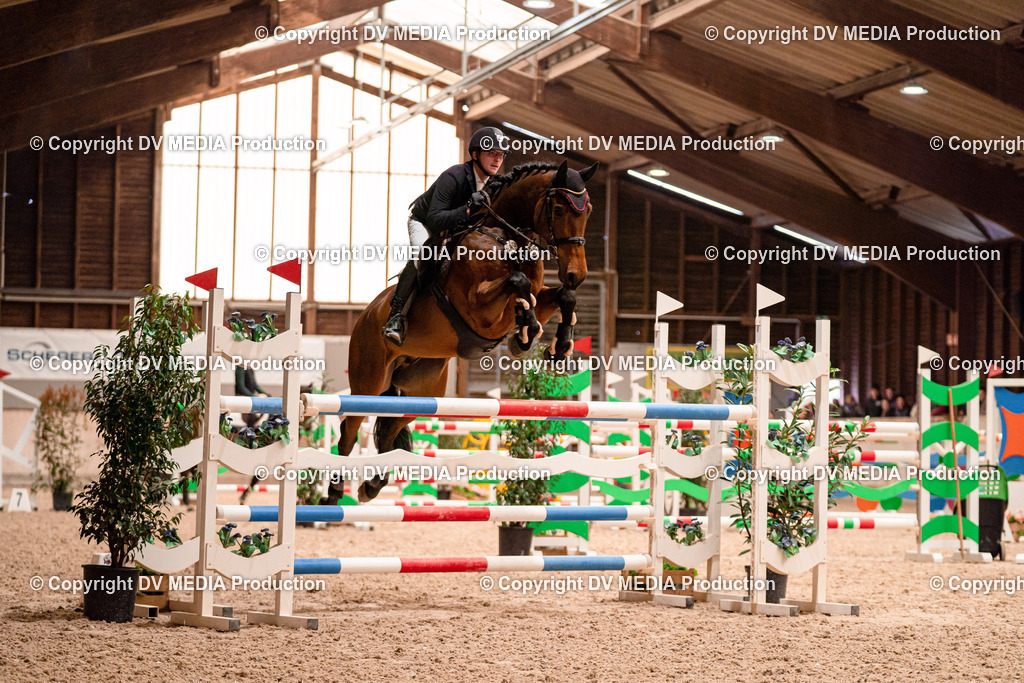 Springen Tag 3-348 | dv-media-shop - Realisiert mit Pictrs.com