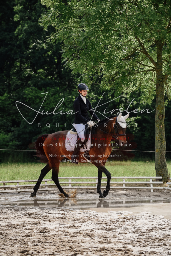 DSC_9811 | Pferde- und Turnierfotografie in Westsachsen. Pferdeportraits, Auftragszeichnungen und intuitive Kunst.
