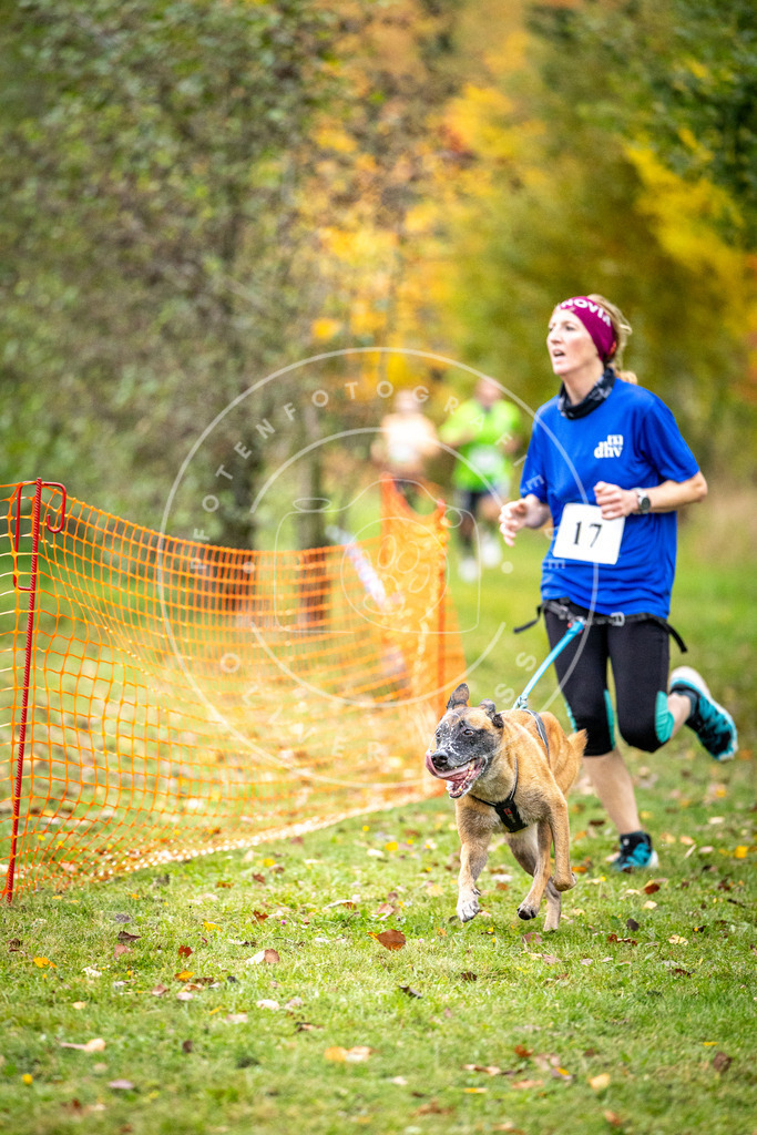 Pfotenfotografie_DV3A1855 | Hundefotografie, Tierfotograf, Pfotenfotografie, Fotoshooting Hund, Hunde Portrait, Hundesport, Hundeportraits, Heideshooting, Hunde, Sportfotograf, Hundefotograf, Turnierhundsport, THS,  - Realisiert mit Pictrs.com