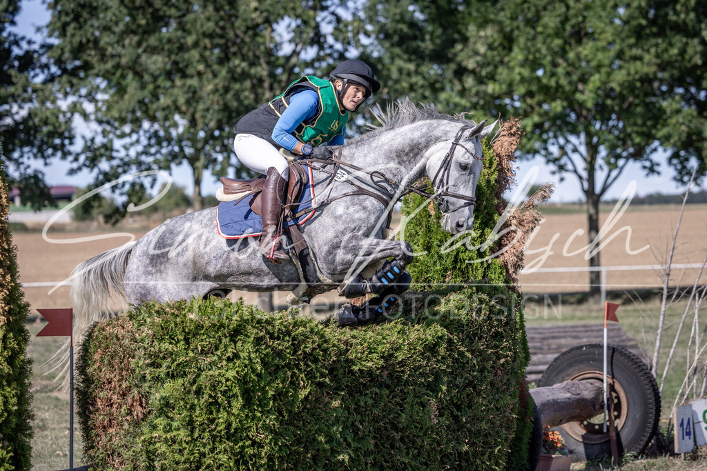 20260906-_3LI5353 | Tierfotografie Pferde, Hunde, Katzen, Haustiere.
Turnierfotografie Reitturniere, Reiten, Springreiten, Dressur in Hanau, dem Main-Kinzig-Kreis und dem Rhein-Main- Gebiet um Frankfurt