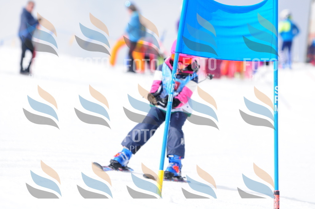 A3684 | holidayphoto