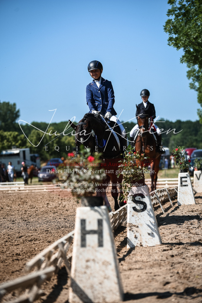 DSC_3706 | Pferde- und Turnierfotografie in Westsachsen. Pferdeportraits, Auftragszeichnungen und intuitive Kunst.