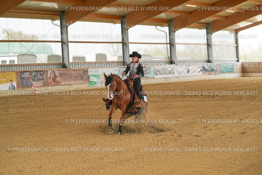 DSC07251 | Pferdegrafie