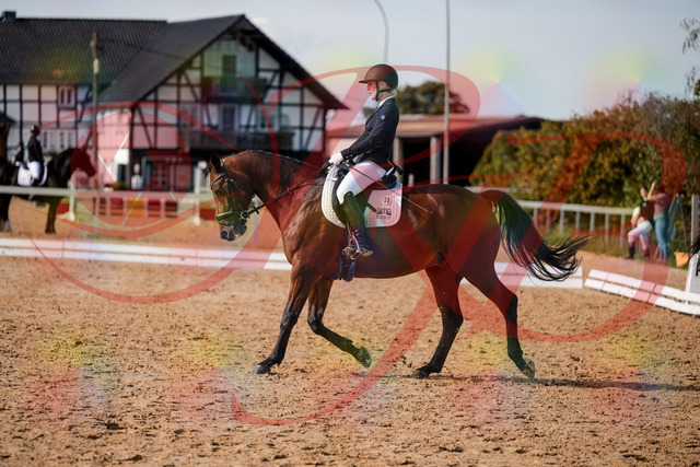 2026_10_03_Siefer-Hof_131209_Z63_75519807 | Professionelle Reitsport-, Turnier- und Eventfotografie von Robert Broda. Galerien mit ausgewählten und bearbeiteten Bildern direkt online ansehen und bestellen.