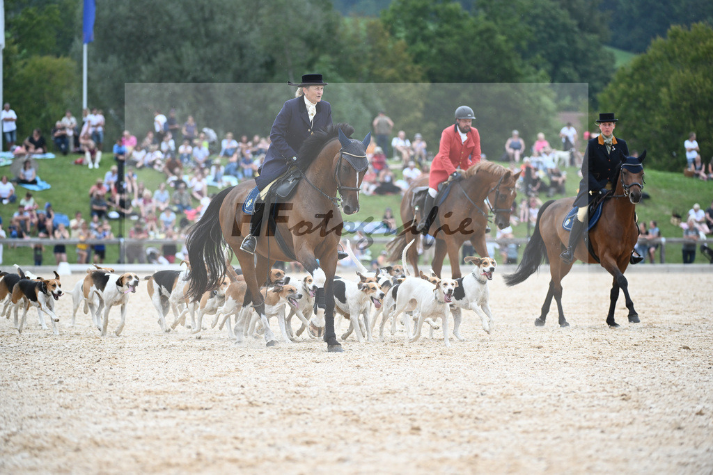 Jagdschaubild Schleppjagdverein Bayern_36240819 | hf-fotografie - Realisiert mit Pictrs.com