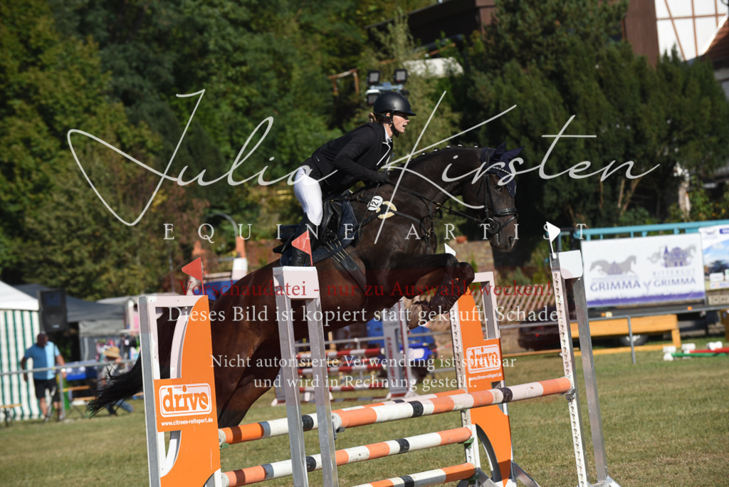DSC_5392 | Pferde- und Turnierfotografie in Westsachsen. Pferdeportraits, Auftragszeichnungen und intuitive Kunst.