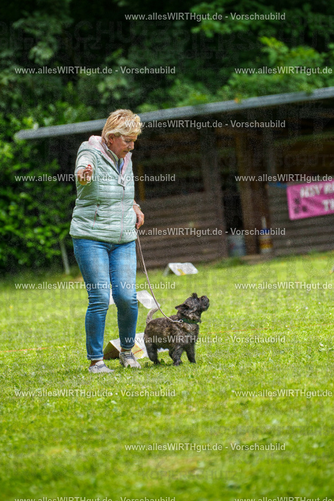 @allesWIRTHgut_Tierfotografie - www.allesWIRTHgut.de - 7R504444 | Professionelle Tierfotografie in Mönchengladbach von Daniel Wirth (allesWIRTHgut). Liebevolle & natürliche Bilder von Hunden & Katzen für unvergessliche Erinnerungen.