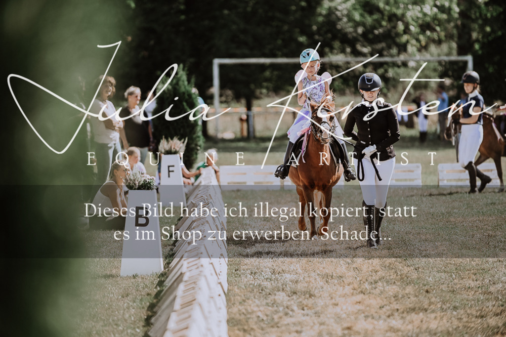 DSC_9008 | Pferde- und Turnierfotografie in Westsachsen. Pferdeportraits, Auftragszeichnungen und intuitive Kunst.