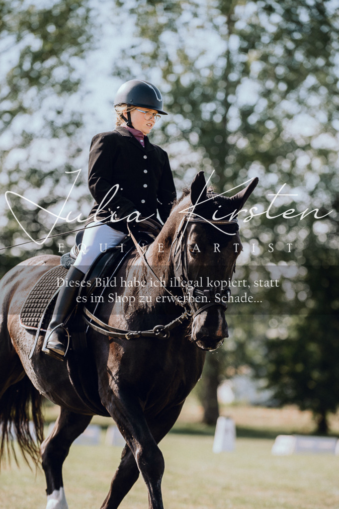 DSC_6927 | Pferde- und Turnierfotografie in Westsachsen. Pferdeportraits, Auftragszeichnungen und intuitive Kunst.