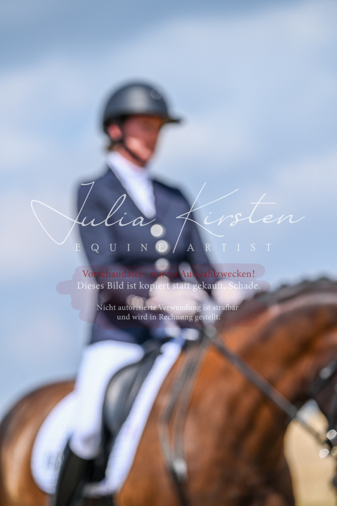 DSC_2692 | Pferde- und Turnierfotografie in Westsachsen. Pferdeportraits, Auftragszeichnungen und intuitive Kunst.