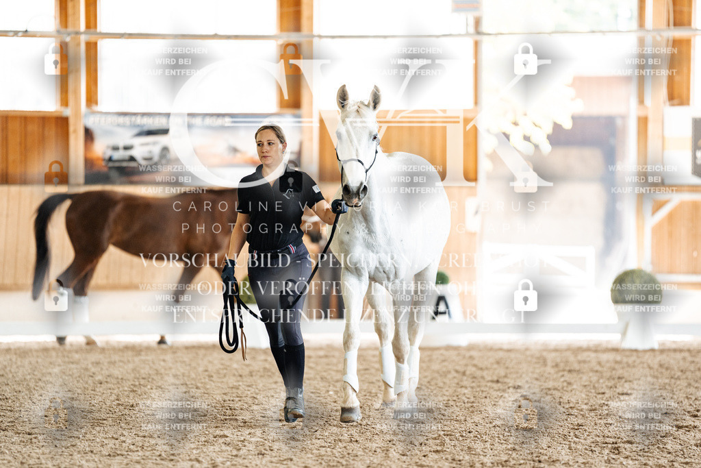 CK908162 | Turnierfotografie Pferdefotografie Trier Rheinland-Pfalz Pferdesport Reitsport Tierfotografie Sportfotografie Pferdevideo Pferdevideografie Equestrianvideography equestrianphotography  - Realisiert mit Pictrs.com