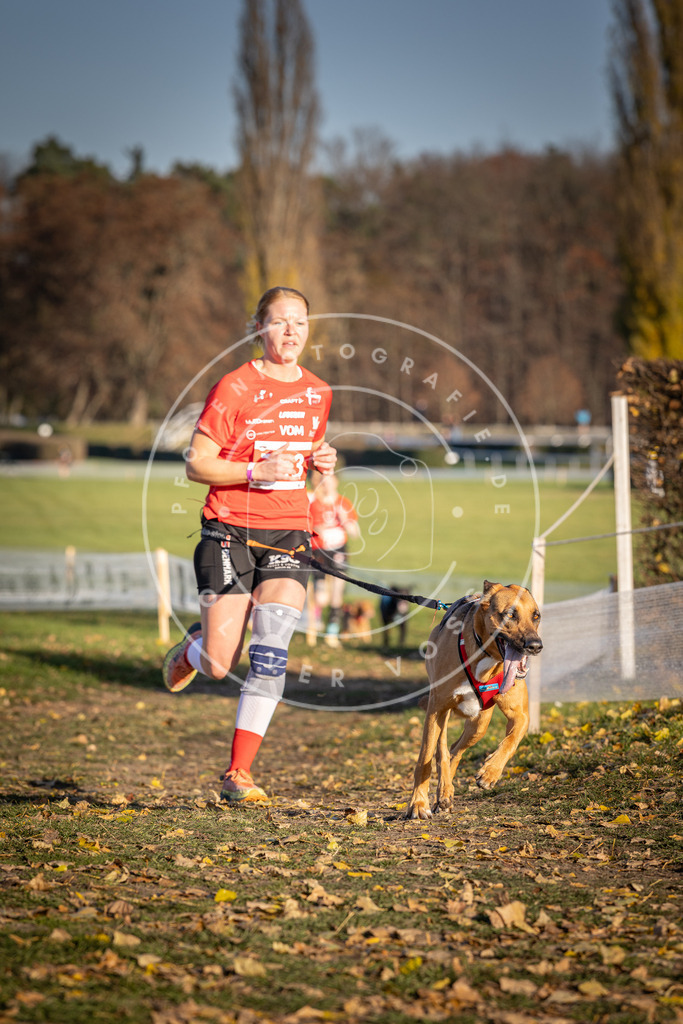 CaniXpix_DV3A2255 | Hundefotografie, Tierfotograf, Pfotenfotografie, Fotoshooting Hund, Hunde Portrait, Hundesport, Hundeportraits, Heideshooting, Hunde, Sportfotograf, Hundefotograf, Turnierhundsport, THS,  - Realisiert mit Pictrs.com