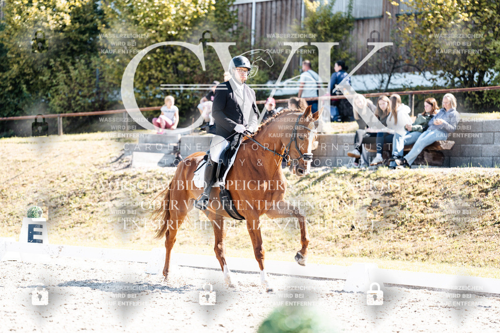 CK903340 | Turnierfotografie Pferdefotografie Trier Rheinland-Pfalz Pferdesport Reitsport Tierfotografie Sportfotografie Pferdevideo Pferdevideografie Equestrianvideography equestrianphotography  - Realisiert mit Pictrs.com