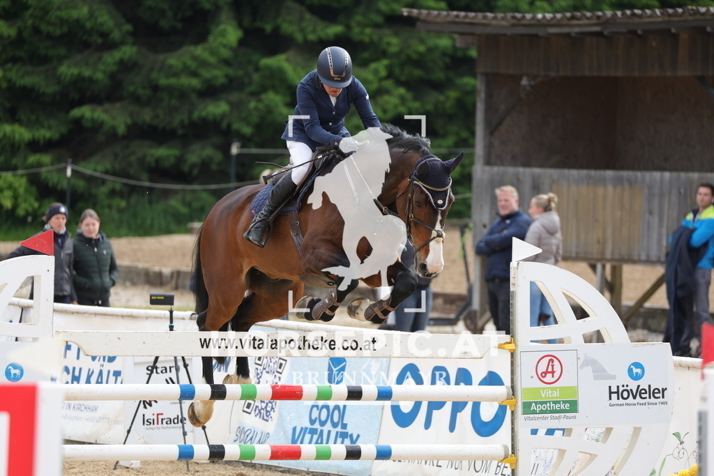 0P6A5304 | Willkommen bei Brunnmayr - Design & Fotografie – Ihrem Spezialisten für Reitturniere und Pferdeveranstaltungen in Oberösterreich, Salzburg und Bayern! Seit über 17 Jahren sind wir leidenschaftlich dabei.