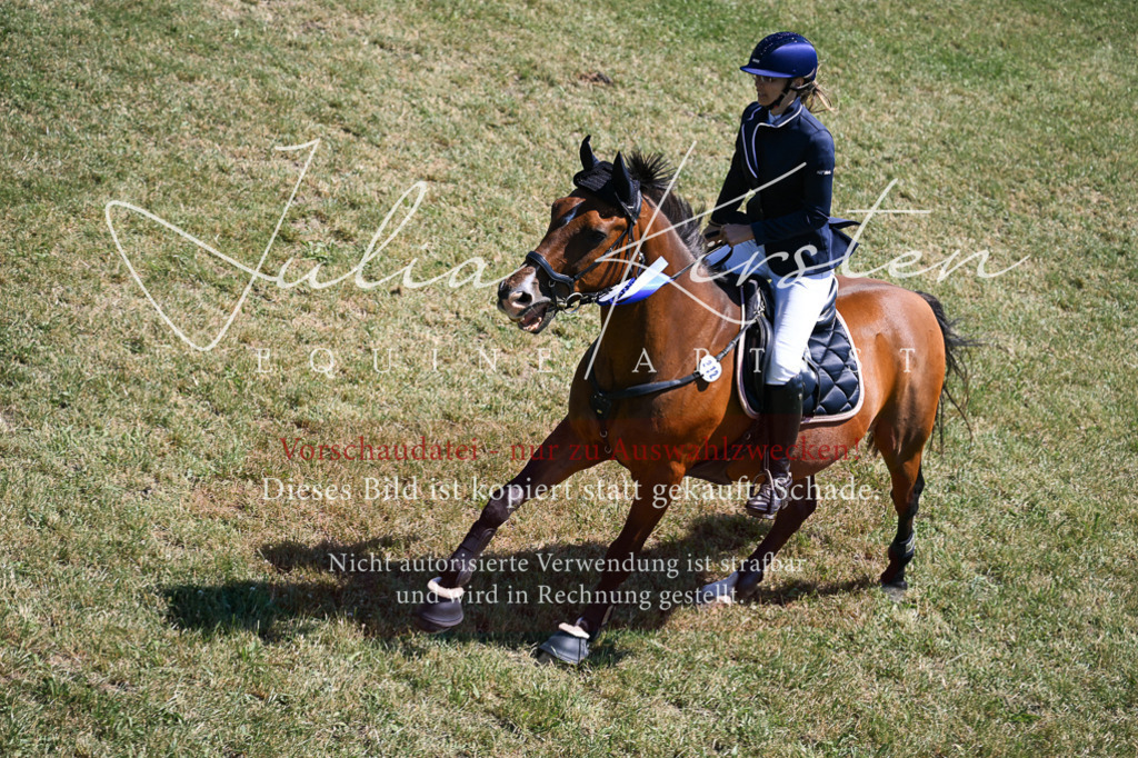 DSC_0073 | Pferde- und Turnierfotografie in Westsachsen. Pferdeportraits, Auftragszeichnungen und intuitive Kunst.