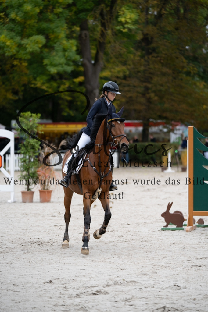 A7V09003 | Pferdefotograf